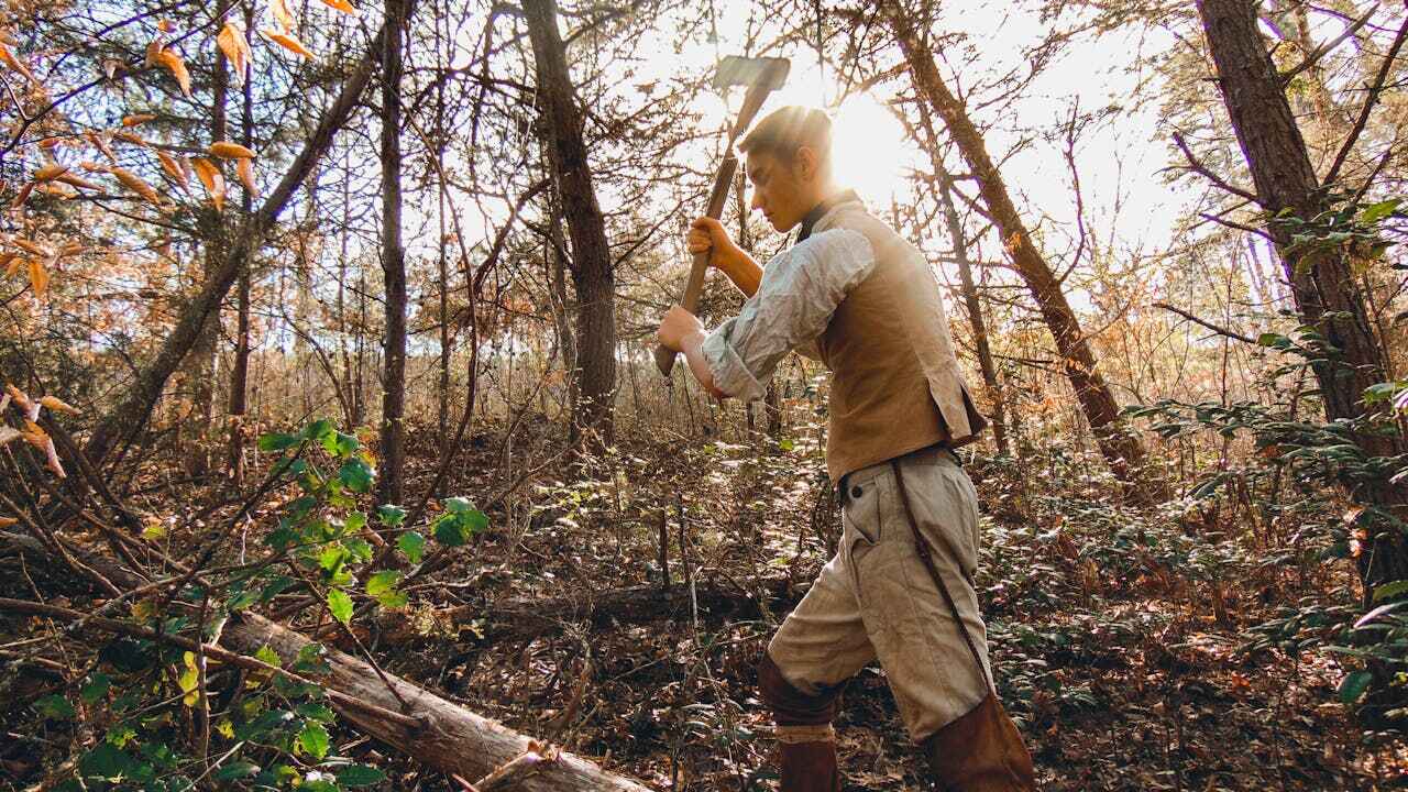 Large Tree Removal in Brownville, NJ